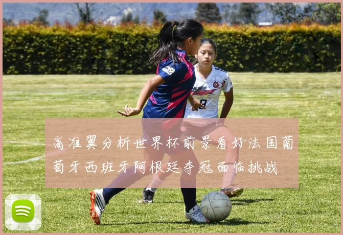 高准翼分析世界杯前景看好法国葡萄牙西班牙阿根廷夺冠面临挑战